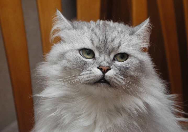 El proceso no tiene que ser malo